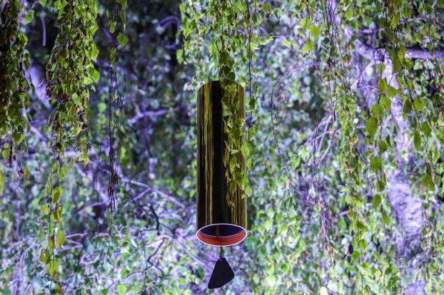 Zagreb: Noćni ugođaj u parku Bele IV. uz svjetlosno-zvučnu instalaciju