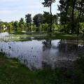 FOTO Sava poplavila sportski centar kod Slavonskog Broda