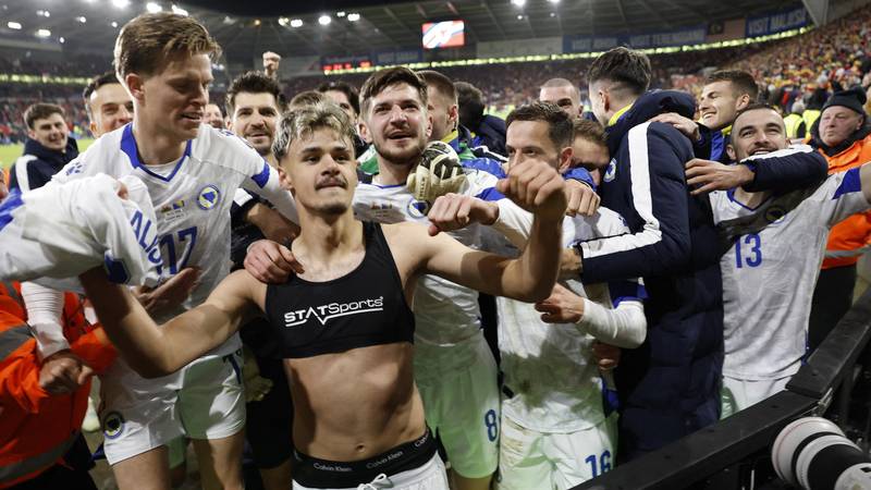 FOTO Velšani u nevjerici, a igrači BiH slave veliku pobjedu!