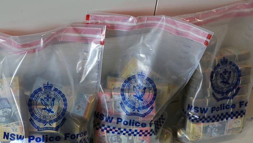 Srpkinji u stanu našli pištolje, pušku, drogu i milijun dolara