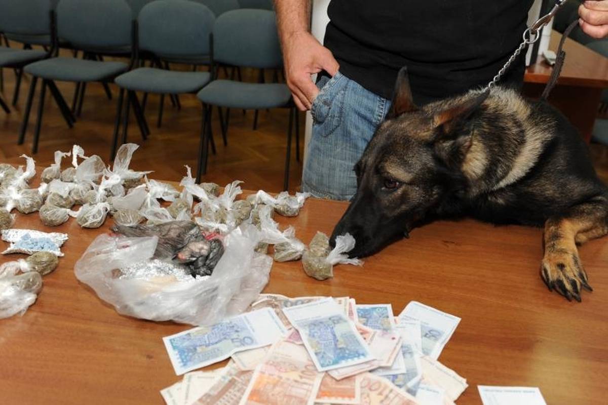 U Rogoznici i Drnišu policijska kujica otkrila je pola kg 'trave'