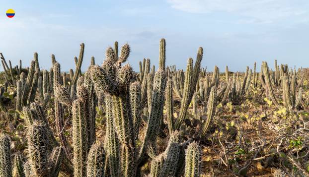 FOTO Katedrala od soli, kava i  mračna narko-prošlost: Jeste li znali ove stvari o Kolumbiji?