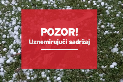 Srceparajući prizori iz Bošnjaka: 'Roda leži kraj mladunčeta, ali ne može na noge. Nije jedina...'