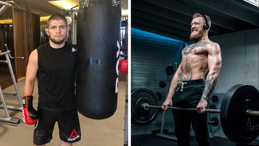 Habib zadirkuje Conora: Samo jedan može biti kralj u džungli!