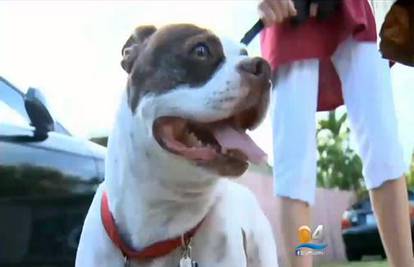 Pogledajte kako izgleda sreća: Nakon 7 godina pronašli psa