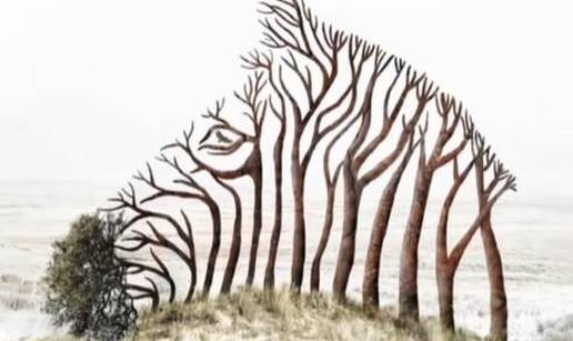 Optička iluzija zaludila internet! Što prvo vidite? Govori o vama