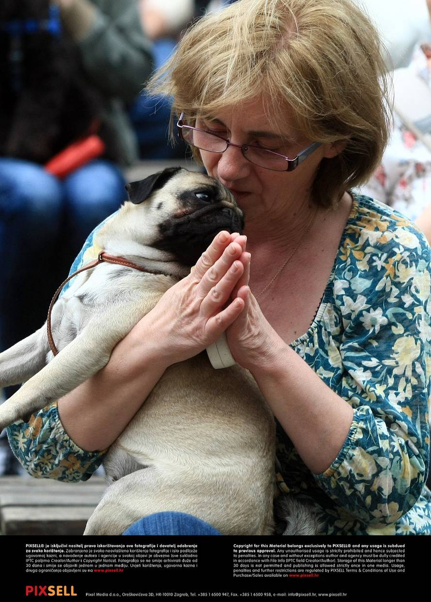 Marko Prpić/PIXSELL