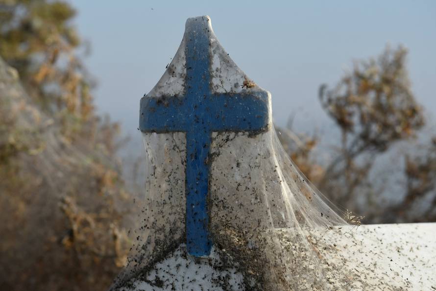 Spider webs cover a roadside shrine at the banks of Lake Vistonida
