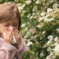 Vi&scaron;e od simptoma: Kako razumjeti svoje alergije
