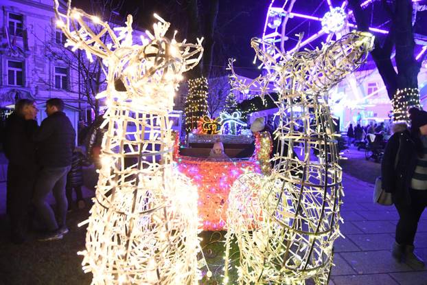 Bjelovar: Grad nikad ljepši u blagdanskom ruhu, a i advent je naraskošniji ikad