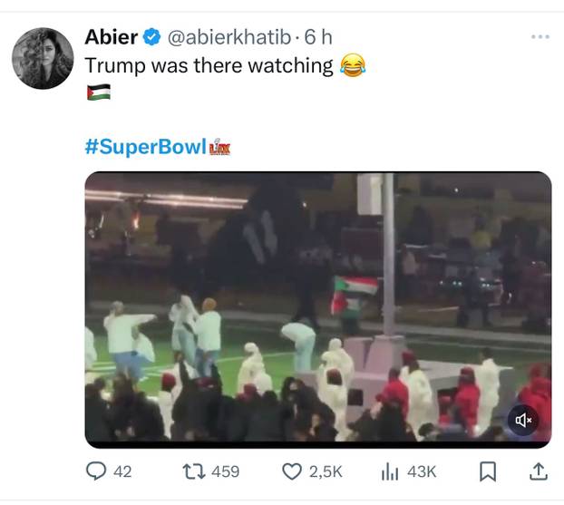 Ovo su memovi Super Bowla! Uljez sa zastavom Palestine, 'nazi' pozdrav i ruganje Trumpu