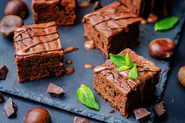 chestnut brownies with chocolate icing