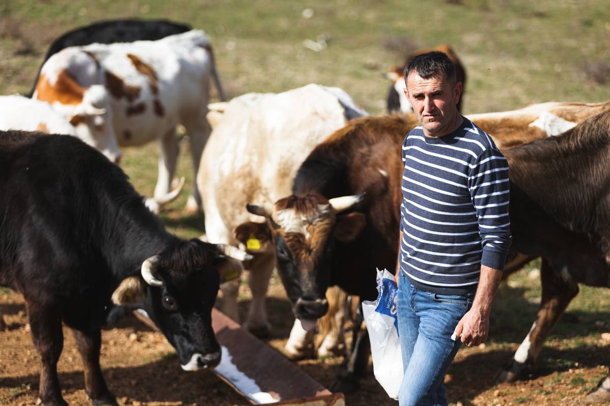 Zbog spora oko livade susjed mu ubija krave? 'Gazi ih autom, a Šaronju je napao sjekirom'