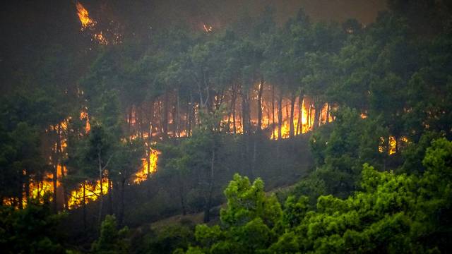 Wildfires burn forests on Greek island of Rhodes