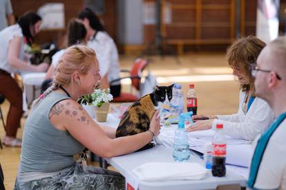 U Zagrebu je održana Međunarodna izlozba mačaka 