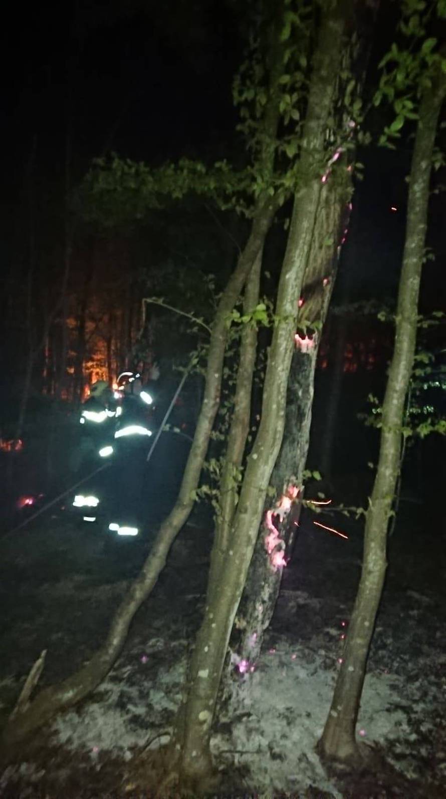 Vidjeli piromana kako podmeće požar, opet gorjelo kod Požege!