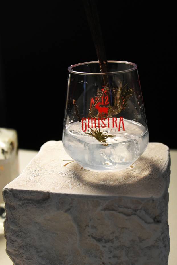 Rovinj: Svečano otvaranje 4. izdanja GinIstre