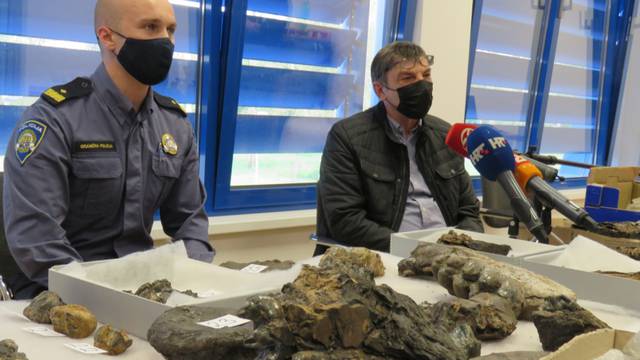 Kod Gradiške uhvatili muškarca s vrijednim fosilima praslona: 'Ovo vidim prvi put u životu'