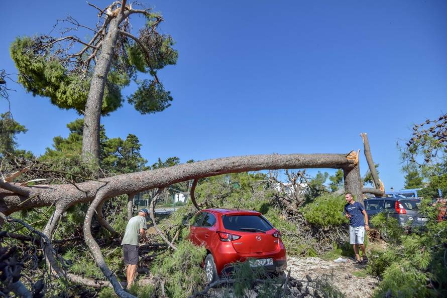 Zadar nakon olujnog nevremena: SruÅ¡ena stabla, uniÅ¡tene kuÃ¦ice u novom kampu