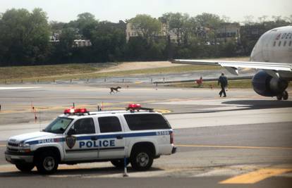 Pas sjeo nasred piste u New Yorku i odgodio sve letove 