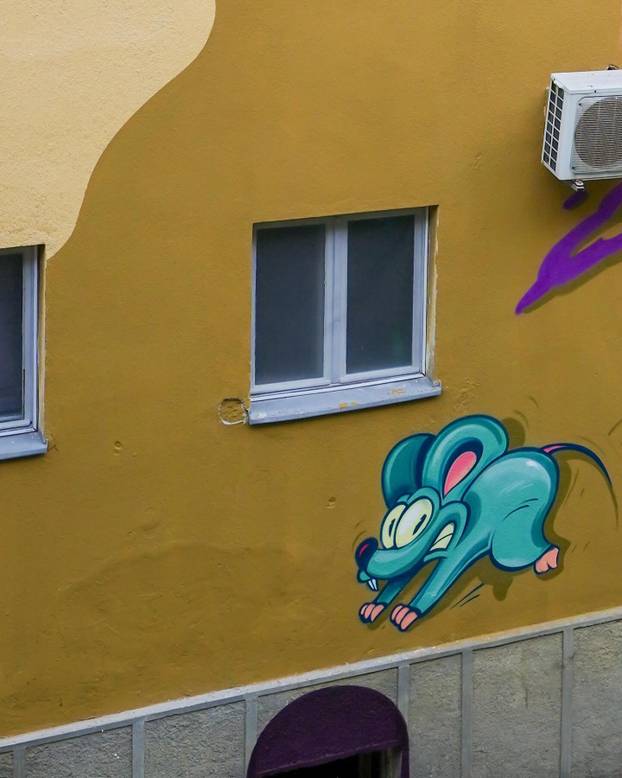 FOTO Grad pretvoren u galeriju: Pogledajte predivne murale na kućama i zgradama u Čačku