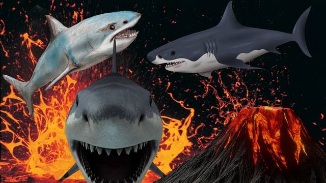 Novo otkriće u Pacifiku: Mutant morskog psa, podvodni vulkan i erupcija koja ih šalje u zrak?!