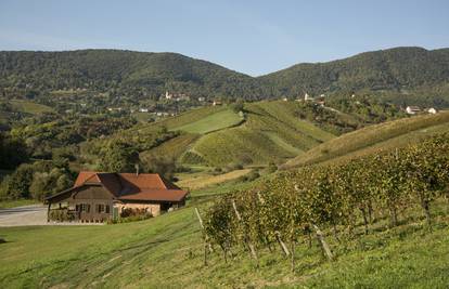 Uživanje uz vrhunsku kapljicu usred zelenila odmor je kakav nam svima treba...