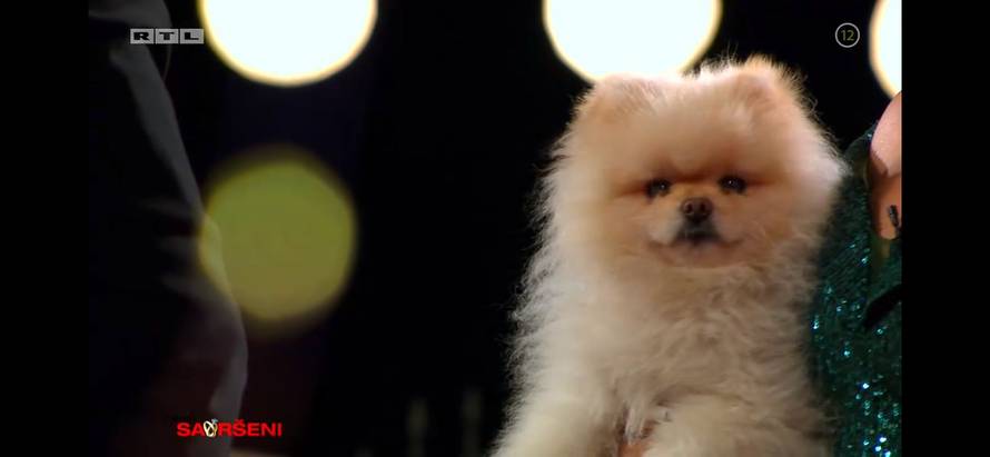 Folk pjevačica Olivera pred Savršenog stigla s asistenticom i psićem: 'Totalno me zbunila'