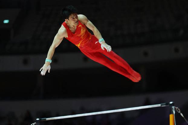 2025 World Artistic Gymnastics Championships