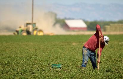 Kod susjeda nam mafija upravlja poljoprivredom? Jeftine radnike uvoze iz Indije