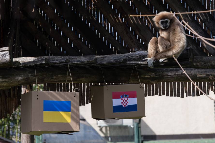 Gibon Kent prognozira: Tko će dobiti - Ukrajina ili Hrvatska?