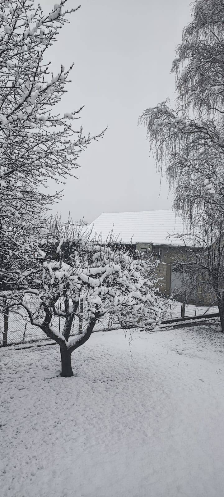 FOTO/VIDEO Pogledajte kako je snijeg zabijelio cijelu Hrvatsku, padat će i dalje, na moru bura