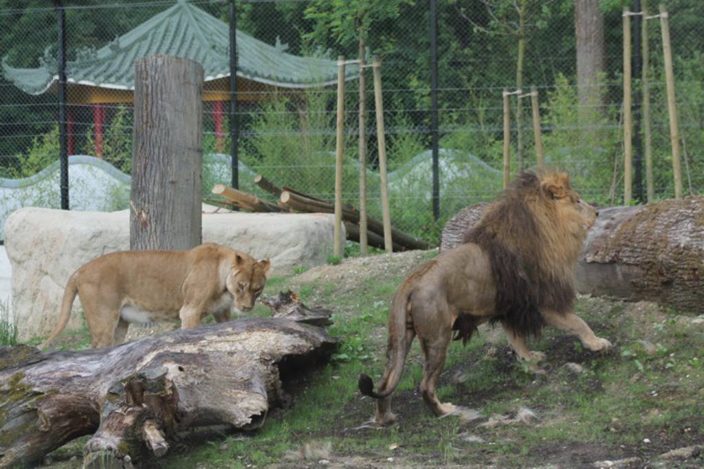 Zagrebački zoološki vrt