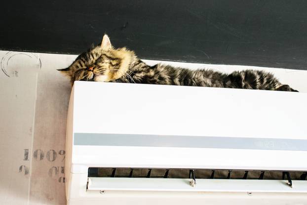 A,Maine,Coon,Cat,Is,Sleeping,On,The,Air,Conditioner.