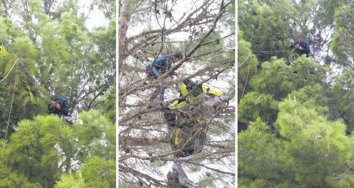 'Izgledao je potpuno  nemoćno':  Vjetar ga s mora odnio na drvo