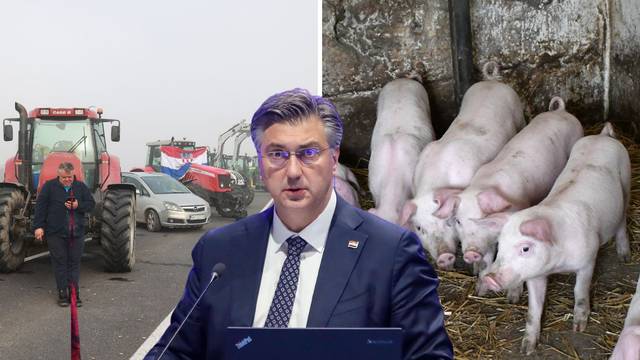 Vukovarski HDZ-ovci pozvali su svinjogojce na prekid protesta: 'Nije Plenković kriv za kugu...'