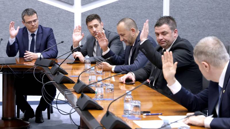 MIP: Instead of new mayors, Zadro (HDZ) and SDPs Mostarac and King come to Parliament