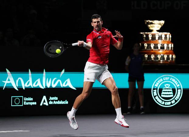 Davis Cup - Finals - Serbia v Britain