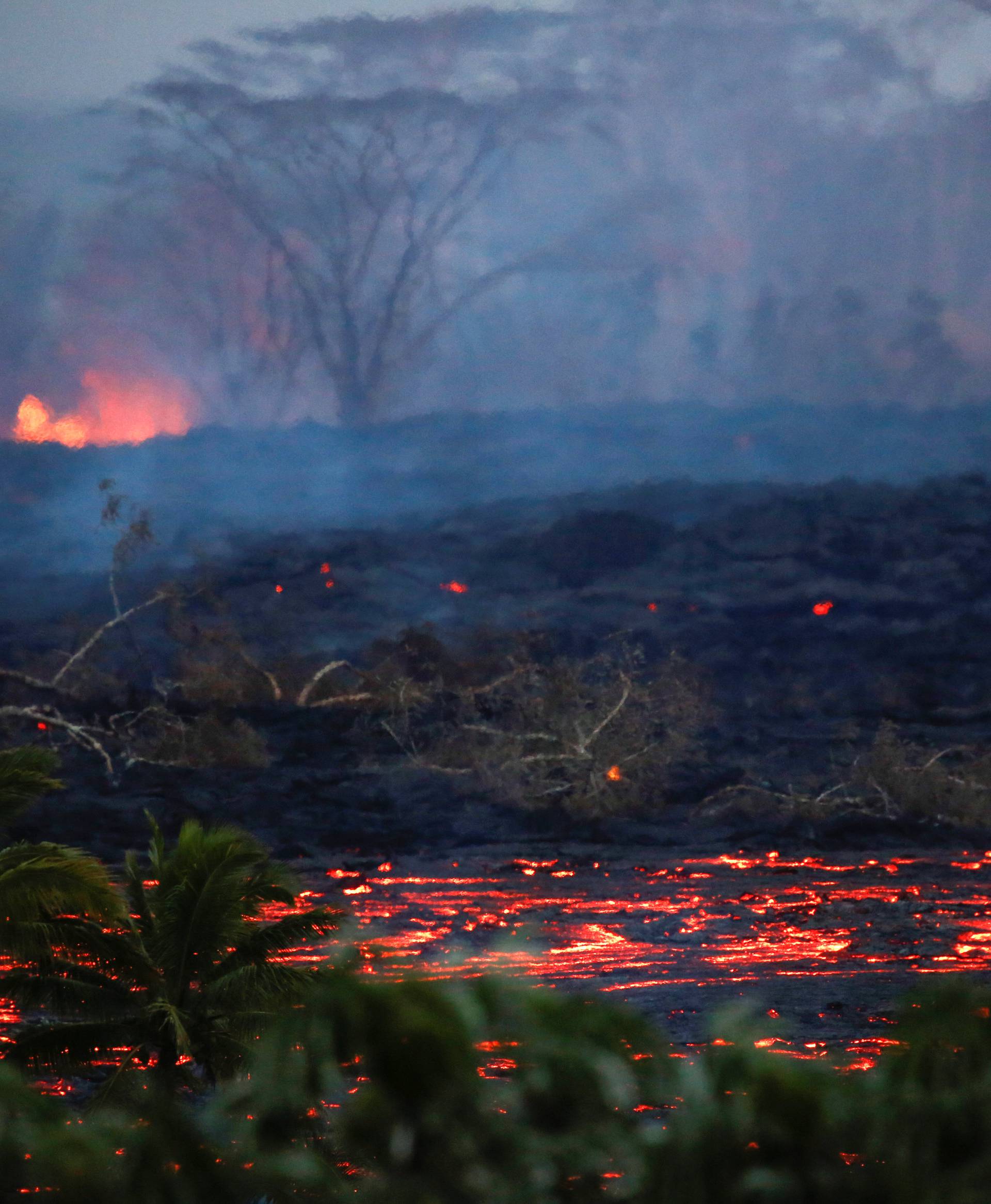 Lava flows near trees on the outskirts of Pahoa