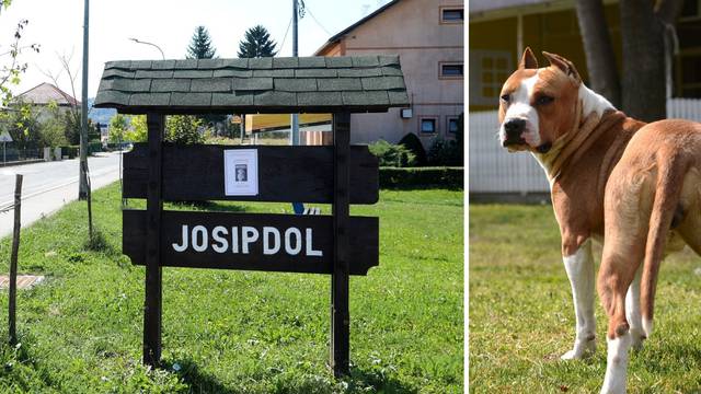 Staford ugrizao prvašića: 'Sin je vrištao, vlasnici su čupali psa i jedva ga  maknuli. Sad je bolje'