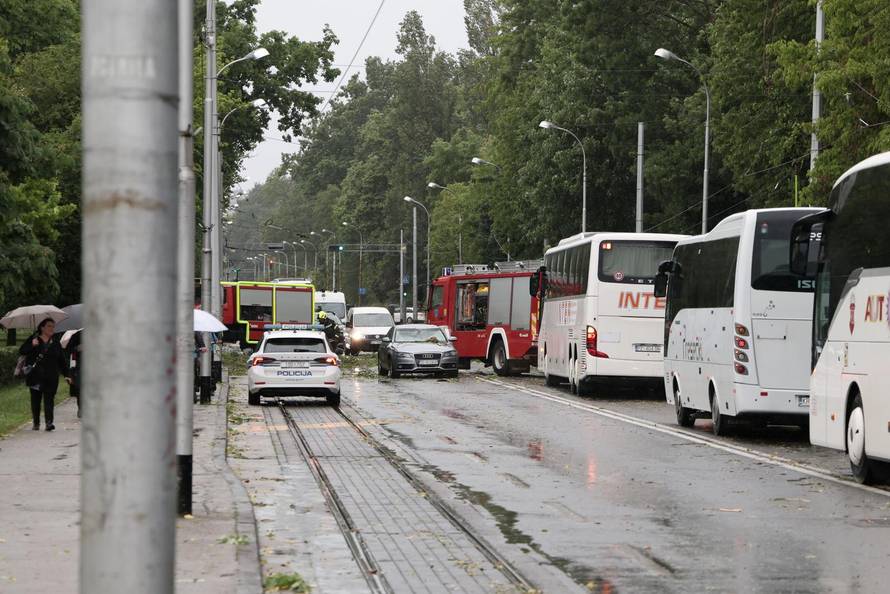 Zagreb: Palo stablo na Maksimirskoj, blokiran promet, vatrogasci na terenu