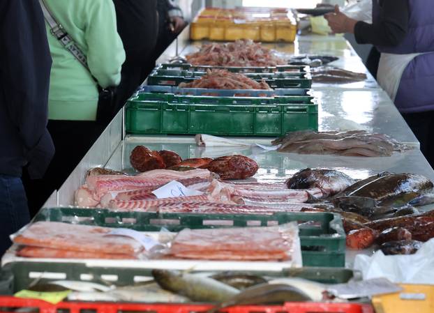 Šibenik: Poskupljenje plavog dizela još se nije odrazilo na cijene u ribarnici