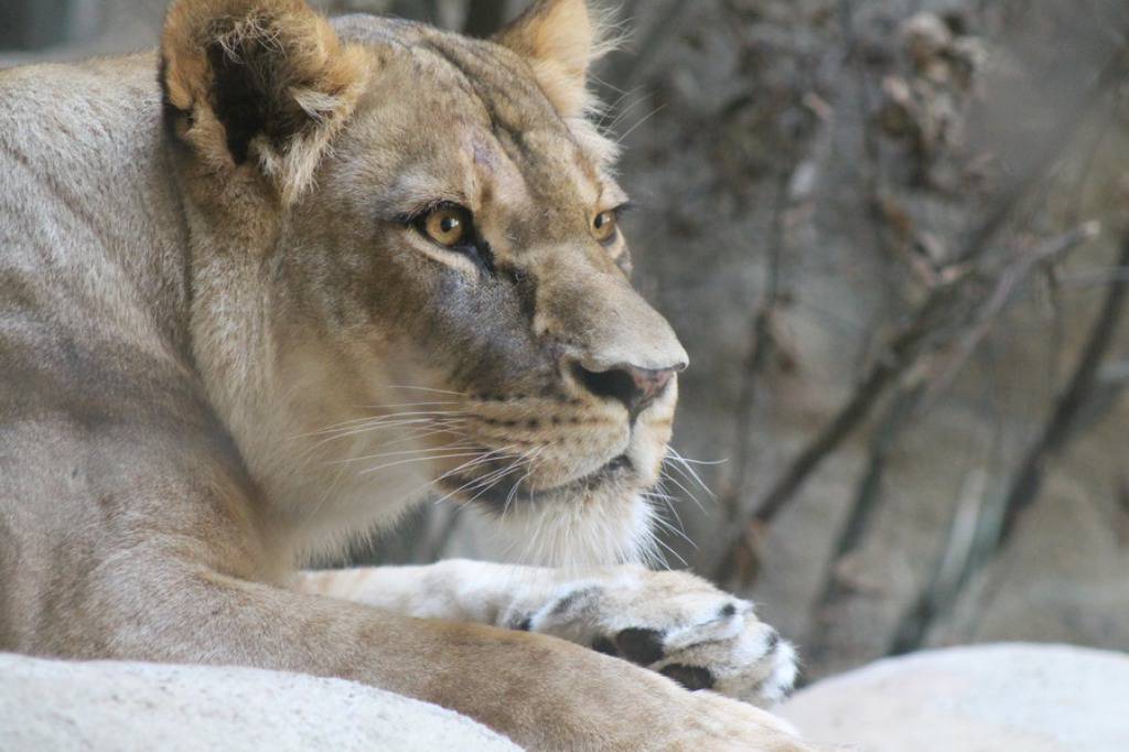 Zoo Zagreb