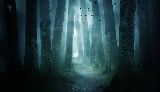 FOTO Djecu je prestravilo ono što su vidjela u šumi:  'Čudovište je bilo ogromno, bježali smo...'