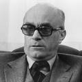 Preminuo je Raif Dizdarevi&cacute;