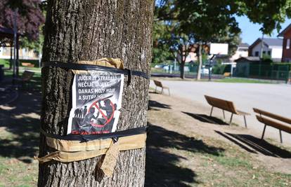 Spirala nasilja kod djece: ‘Ma jezivo, oni si već sa šesnaest tetoviraju svastiku na prsima...’