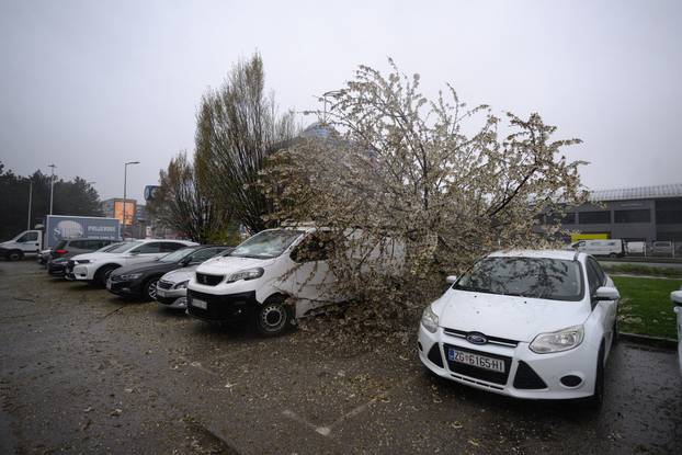 Zagreb: Olujni vjetar poharao Špansko, dignuti krovovi i isčupana stabla 
