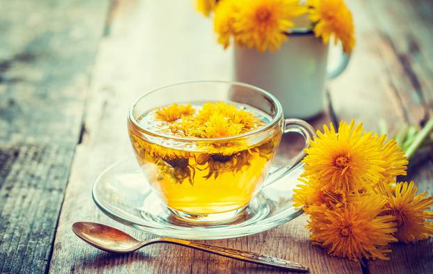 Cup of healthy dandelion tea. Herbal medicine. Retro toned.