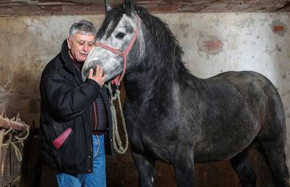 VIDEO 'Zekane moj!' Dirljiv susret čovjeka koji je bosonog spašavao konja nakon potresa