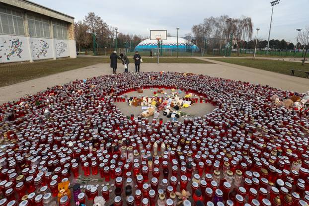 FOTO Lanci i lisice. Ovako su ubojicu iz Prečkog doveli na sud